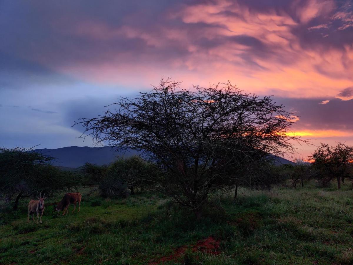 Oldonyo Orok Lodge Kajiado Exterior foto